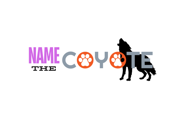 Name the Coyote Contest!