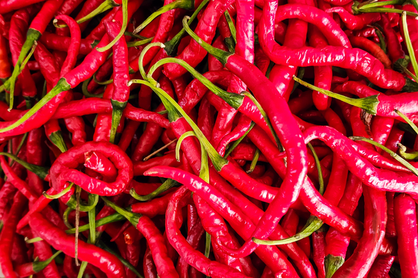 How to Make New Mexican Red Chile!